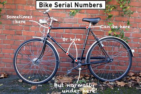 自転車 車体番号 桁数: 数字の羅列が語るストーリー