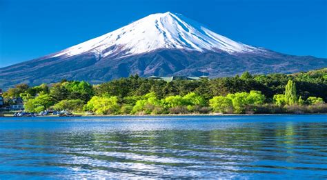 富士山が見えるサービスエリア 上り と日本の風景の魅力