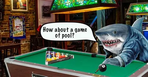 The Hustler! A Tale of Pool Sharks, Risky Bets, and Existential Angst!